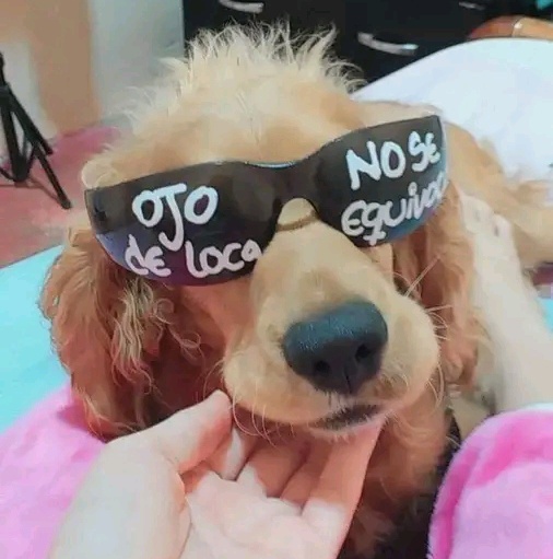 buen domingo y recuerden