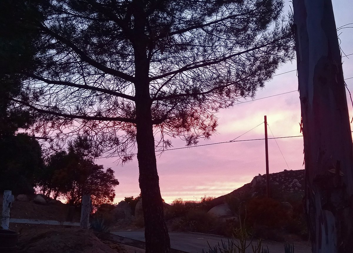 Calm before the storm ⛈️