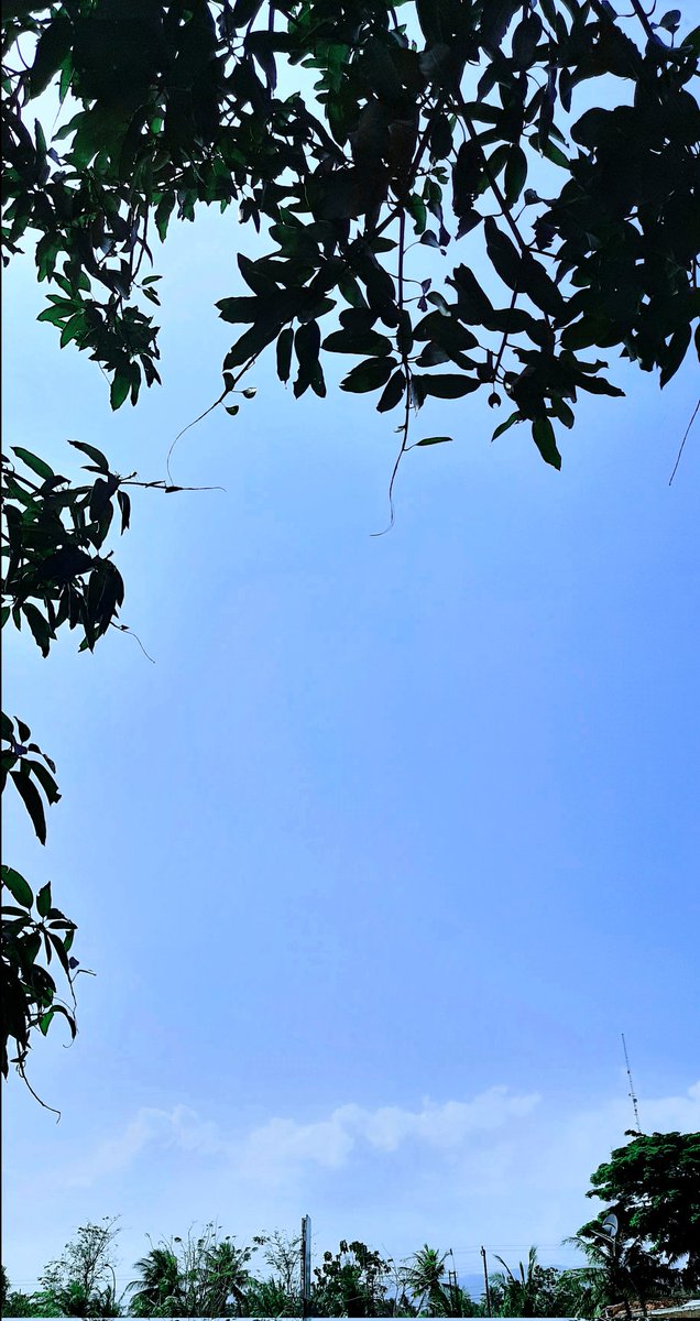 S_ynjeon97's tweet photo. 💜💜💜💜💜💜💜💜💜💜💜💜💜💜💜💜💜💜💜💜💜💜💜💜#SkyForNamjoon https://t.co/UX4acpOJqu