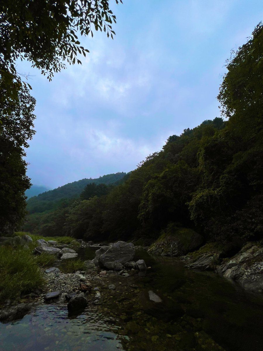 계곡다니기에 맛들린 요즘!
같이 캠핑&amp;물놀이 다닐수있는 친구 있으면 더더욱 즇겠당...🤩
오늘은 홍천! 
#부부 #커플 #부커 #커플만남 #부커만남 #부부만남