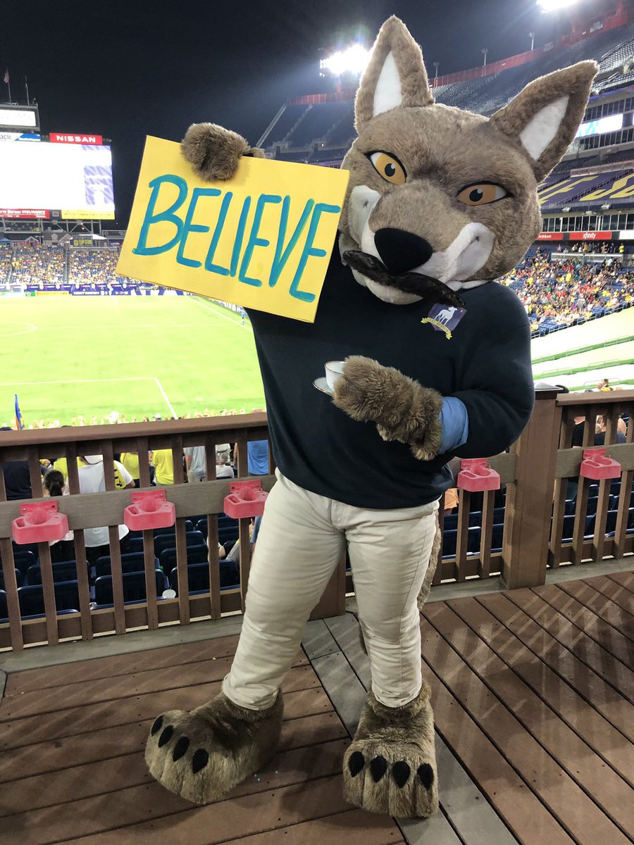 COME ON YOU BOYS IN GOLD