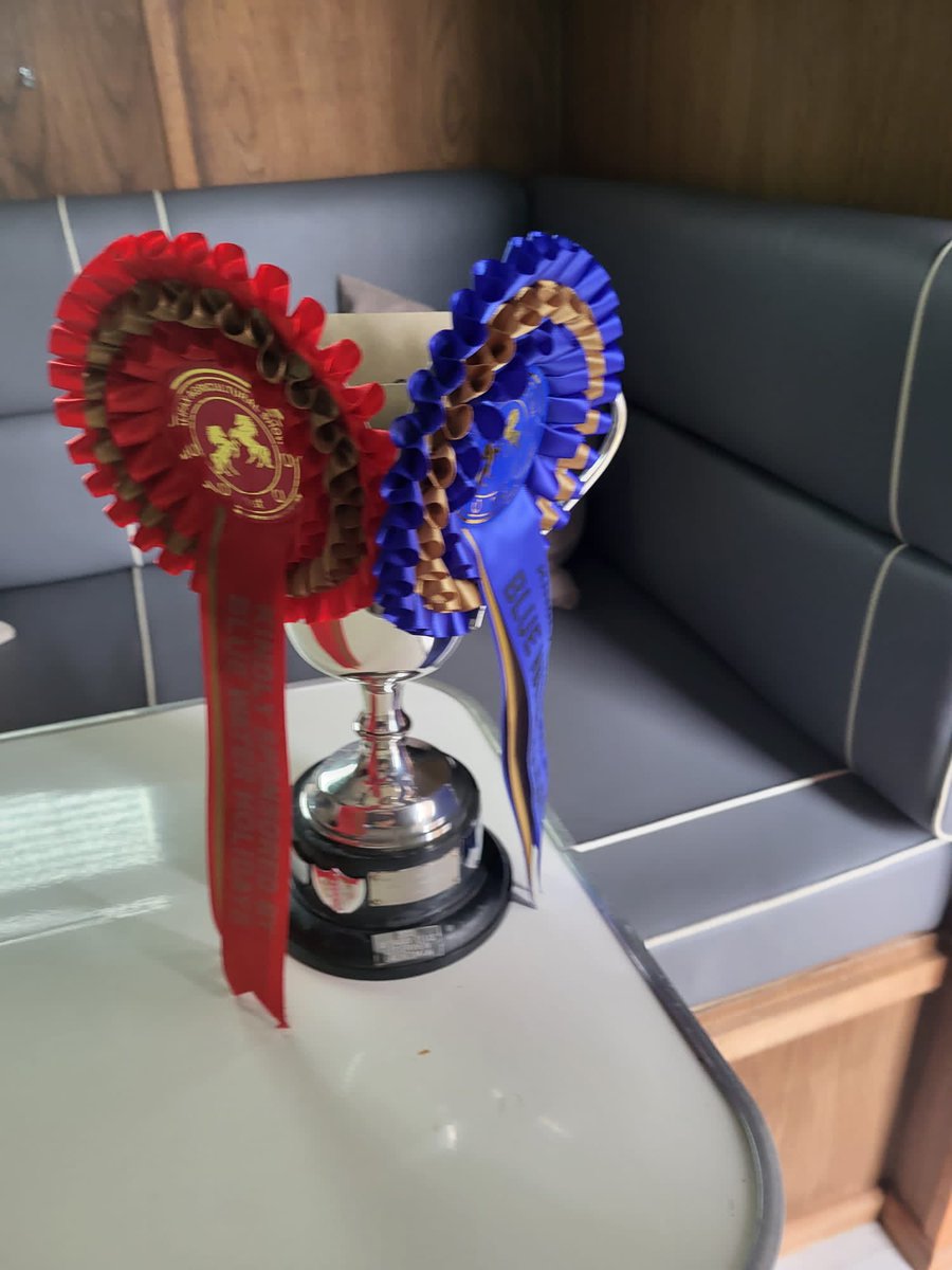 clivetitcomb's tweet photo. Kimberella on song again for 1st with Alicia and Denise!  🏆 #horselove https://t.co/6OKFSDyC5I