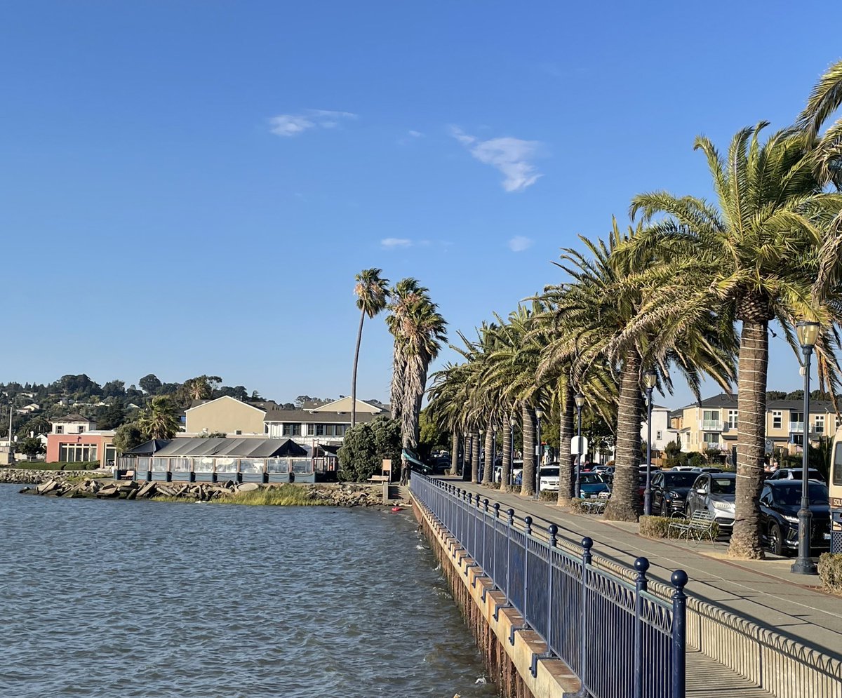 Hawks CDC tweet media