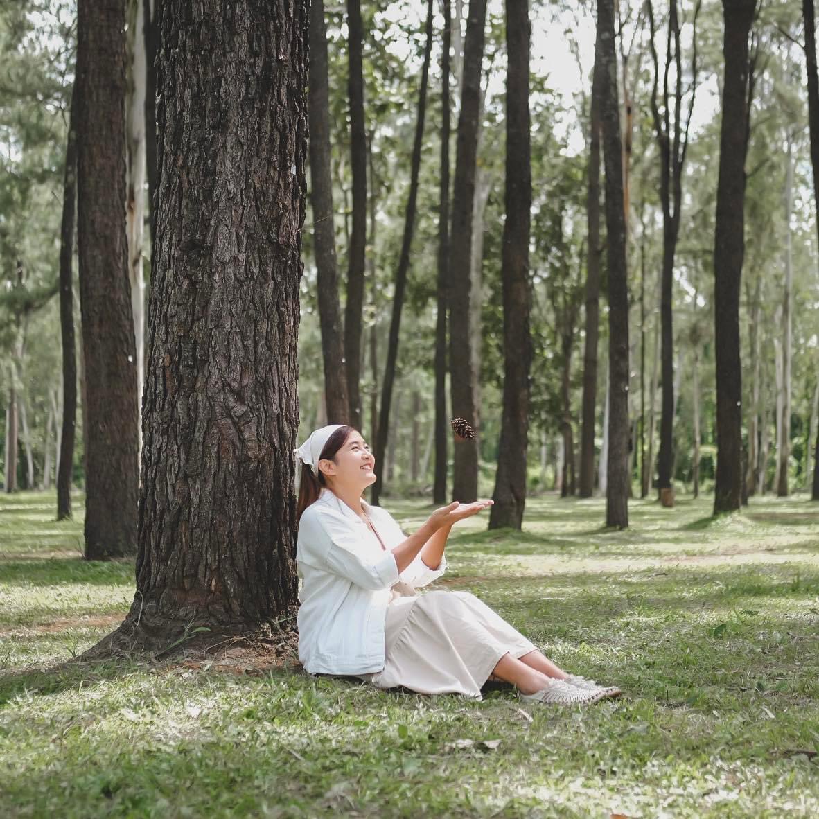 Journey_Gallery's tweet photo. ไปปิกนิคในสวนสน 🌲🌲🌲
ที่ #สวนสนแม่แตง เชียงใหม่
กับ กระเต็นผจญภัย

#JourneyGallery https://t.co/9PXHcsKNPy