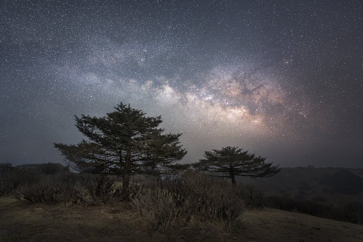 RanitDholey's tweet photo. Milky Way core shot from Sandakphu, Nepal. As always, I owe so much to @alynwallace for the inspiration ❤️

#witns #SIGMA #Astrophotography #SonyAlpha https://t.co/2ptidoQfUw
