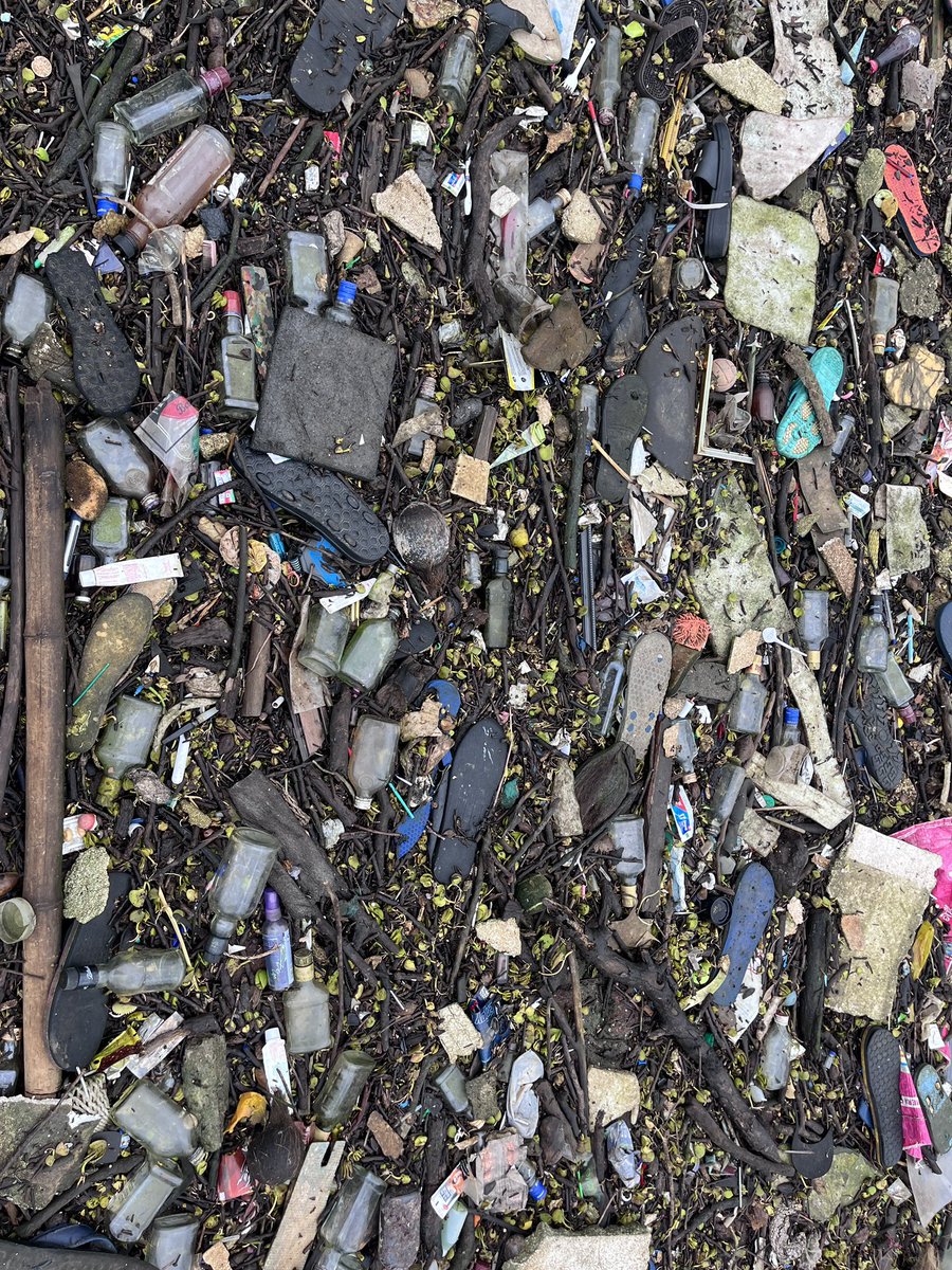 SloganMurugan's tweet image. #IndianTideline 
Last night’s high tide left a big deposit