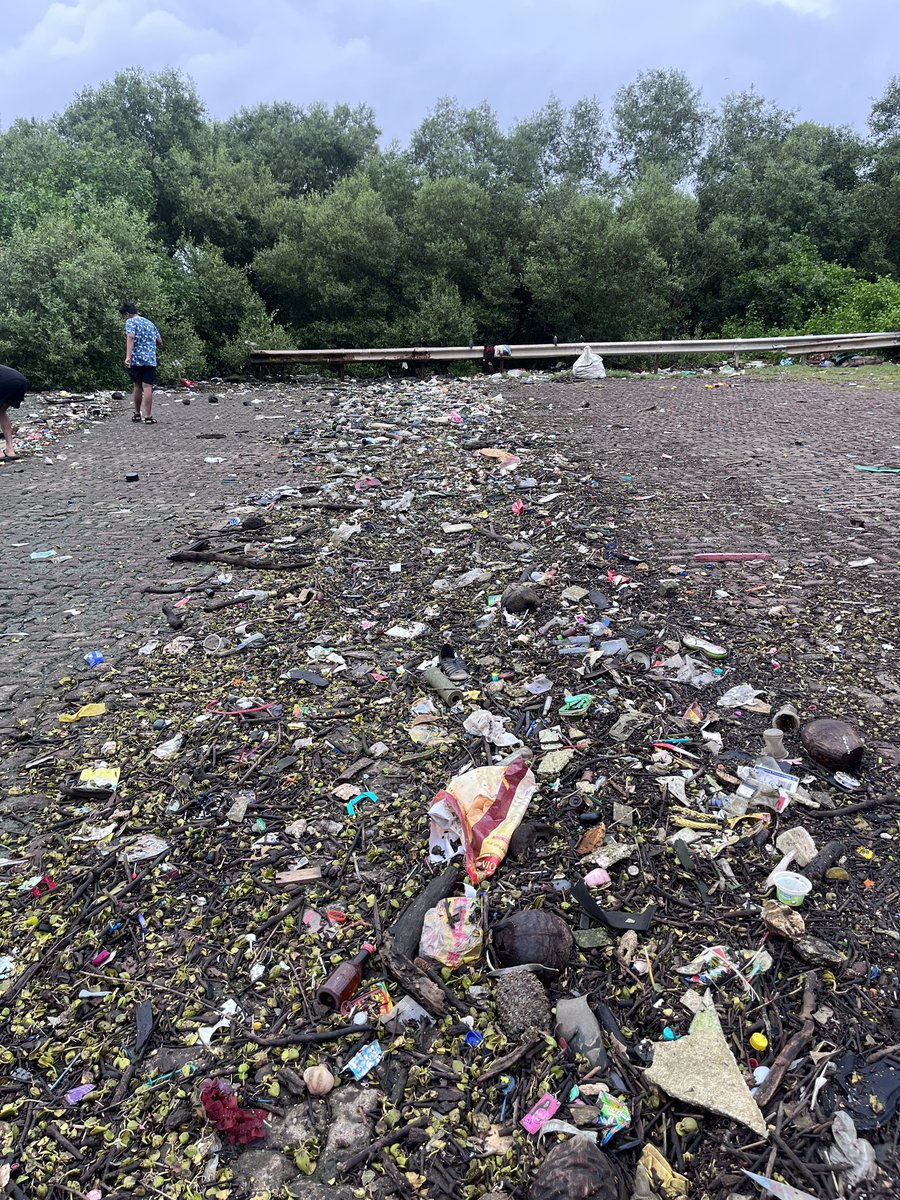 SloganMurugan's tweet image. #IndianTideline 
Last night’s high tide left a big deposit