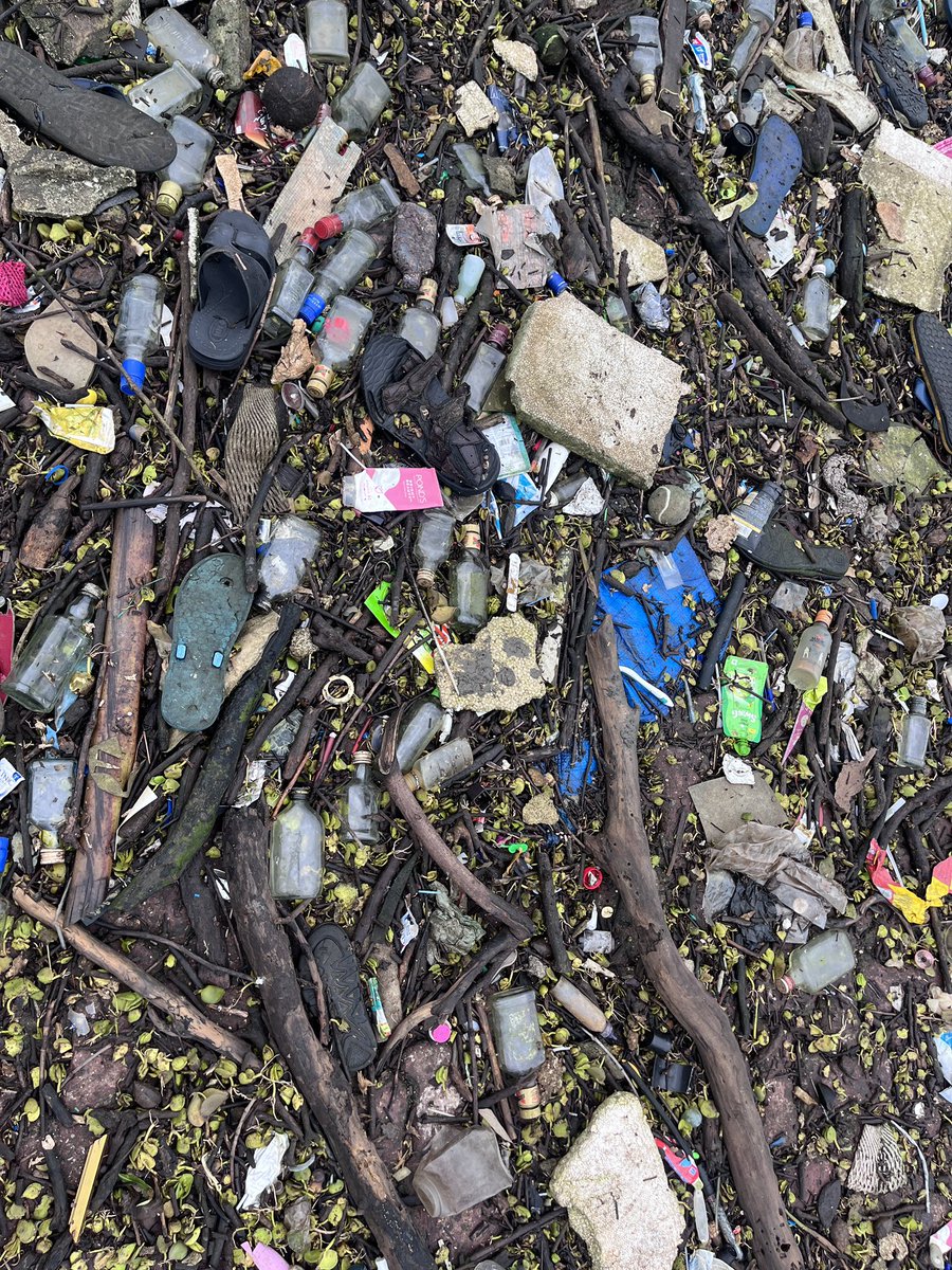 SloganMurugan's tweet image. #IndianTideline 
Last night’s high tide left a big deposit