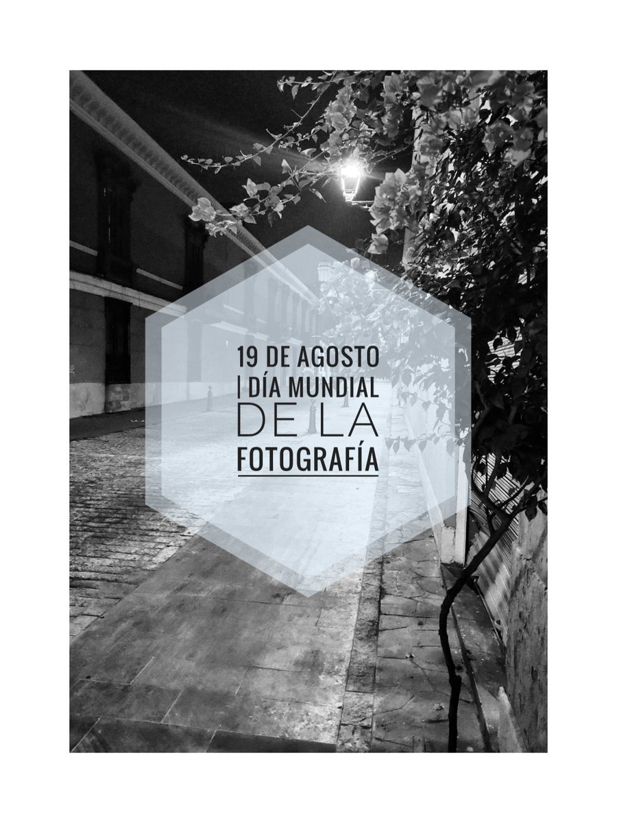 andrade911's tweet photo. 🚨 19 de Agosto | Día Mundial de la Fotografía 📷 https://t.co/DmCEe4sJIS