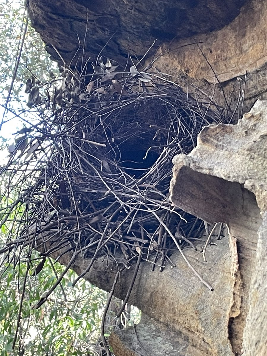 Dr. Vicky Austin tweet media