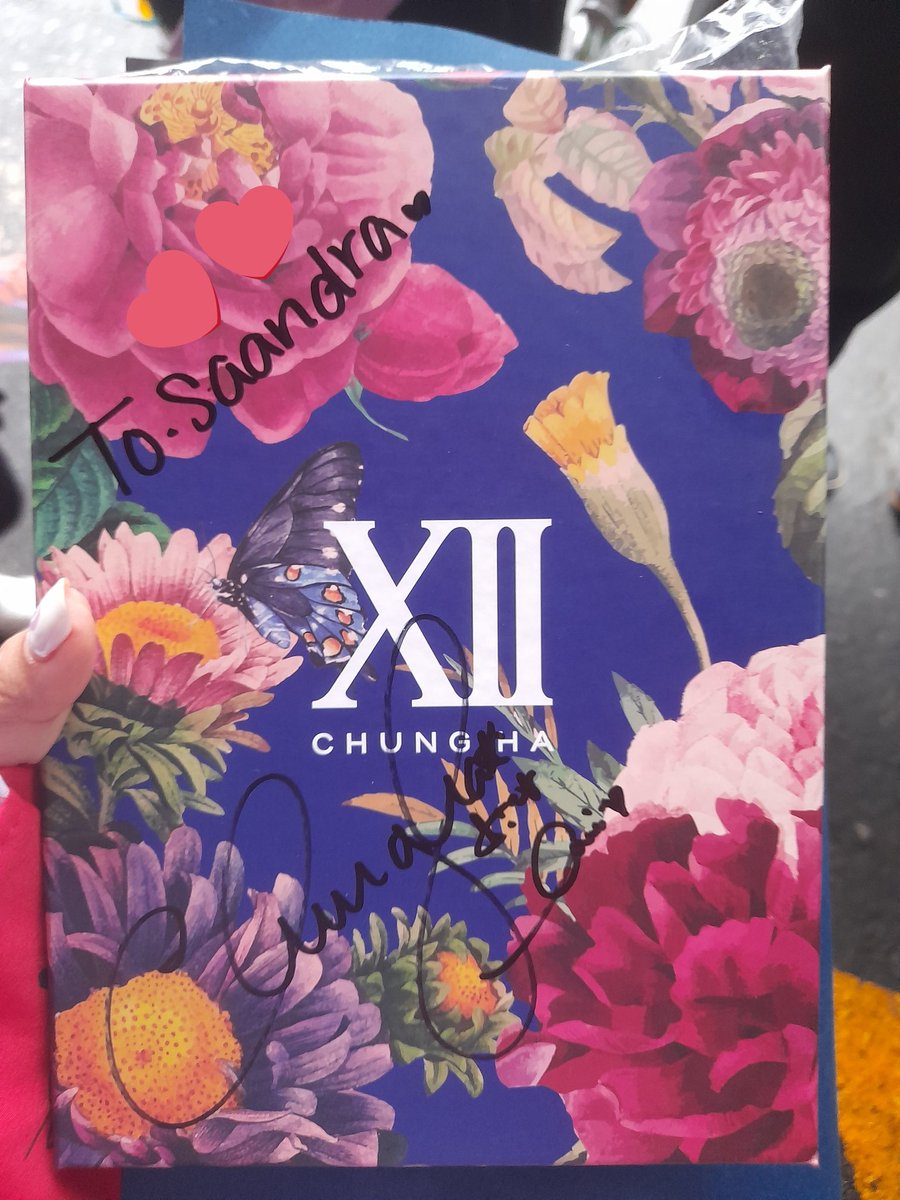 SAAAAN | 🌼 tweet media