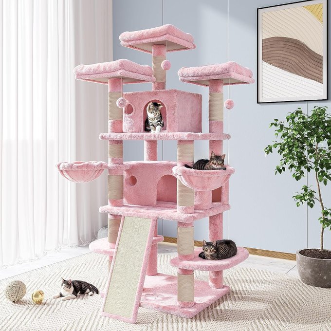 One of our cats is isolated in a side room- that i had themed for photoshoots O_O;  I JUST FOUND A PINK<a href="/tag/dnd5e"class="tags"><span>#dnd5e</span></a>