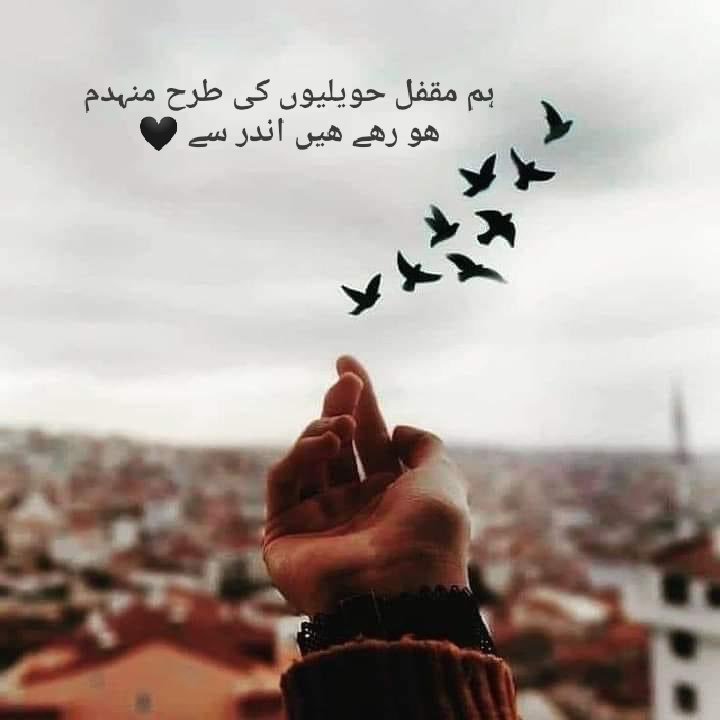 Kyfiat_e_Zindgi's tweet photo. ہم ذاتی طور پر تو اکیلے ہو سکتے ہیں مگر روحانی طور پر ہم ہمیشہ ان لوگوں کے ساتھ ہوتے ہیں جو ہمارے دل میں بستے ہیں https://t.co/zGf52x8lEp