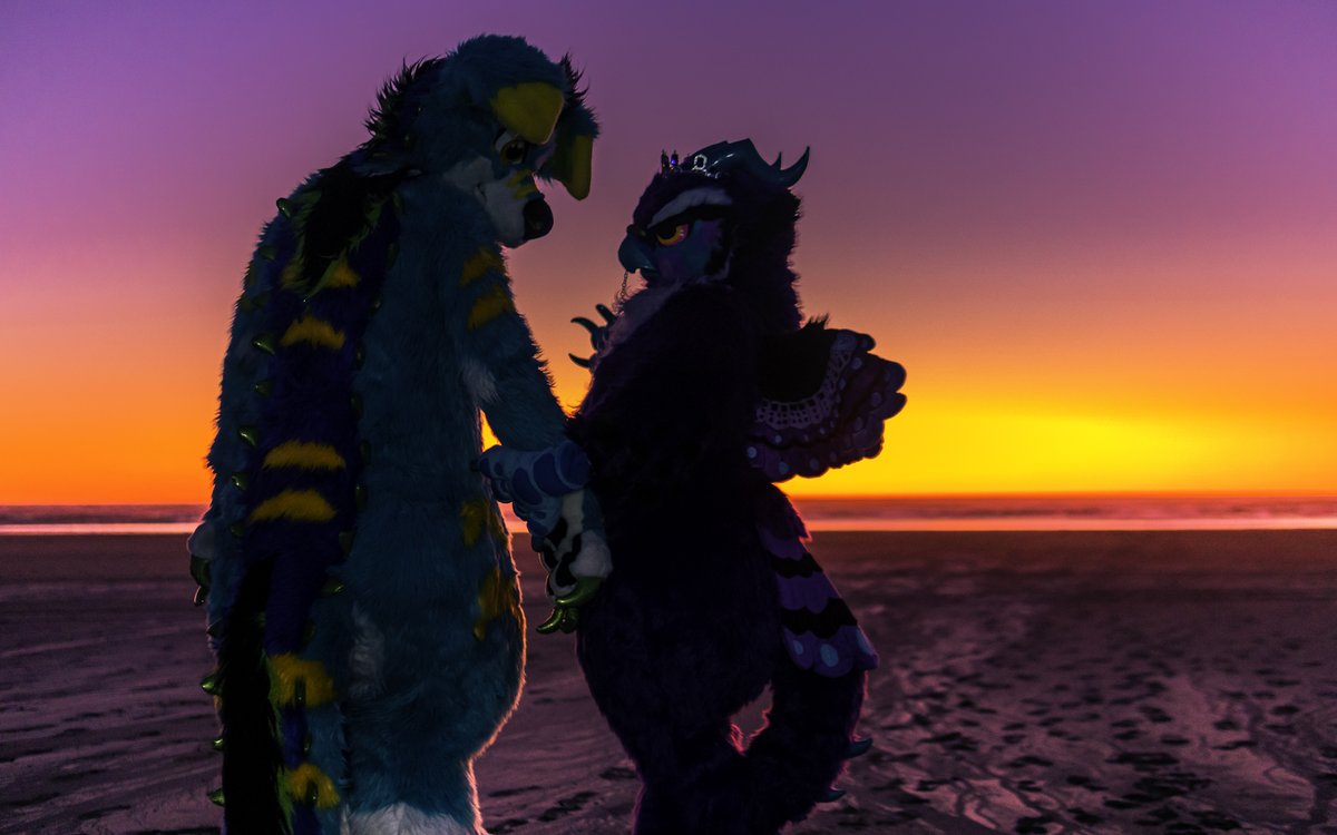 🌻Rictar🌻🔜 FE tweet media