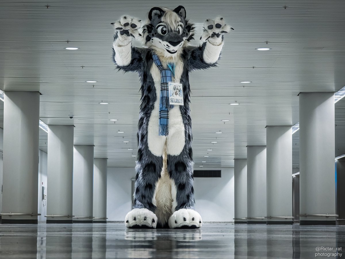 🌻Rictar🌻🔜 FE tweet media