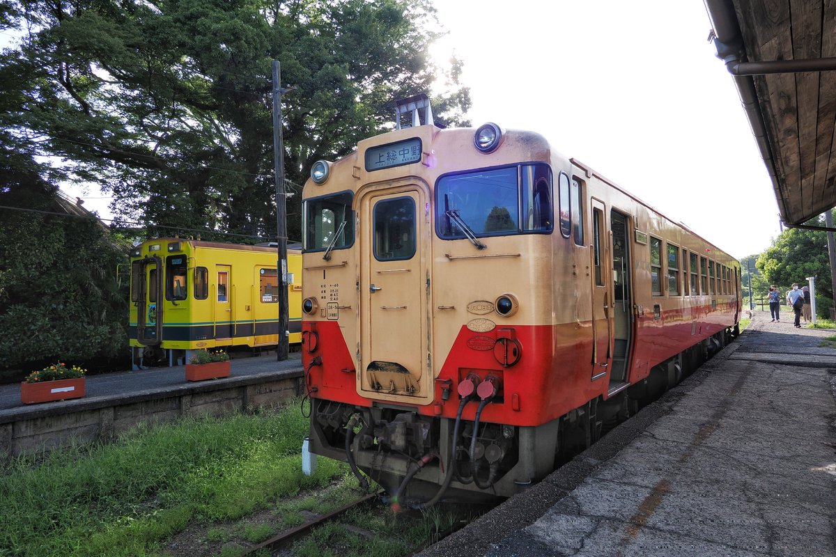 inemuri604's tweet photo. 暑さに負けて牛久~中野をキハ40に乗車~
#小湊鐵道
#OMSYSTEM
#OM1
#HF007014
#12100pro https://t.co/mmD1GyfUzT