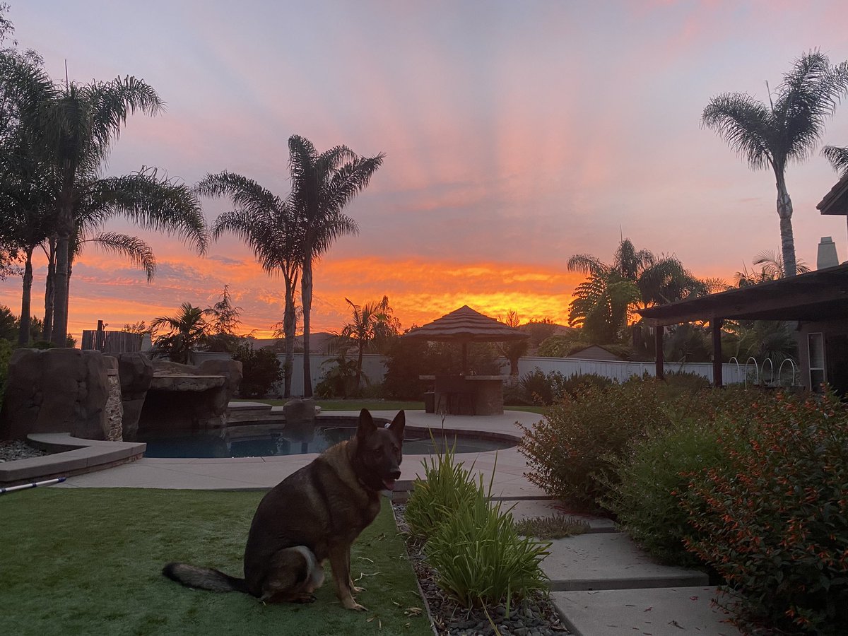 robert_orear's tweet photo. The literal calm before the storm…
We will be fine, but our prayers go out to any who have been, and will be, adversely affected by the flooding and wind 🙏 

#HurricaneHilary #sunset https://t.co/vKc5Jr2x8r