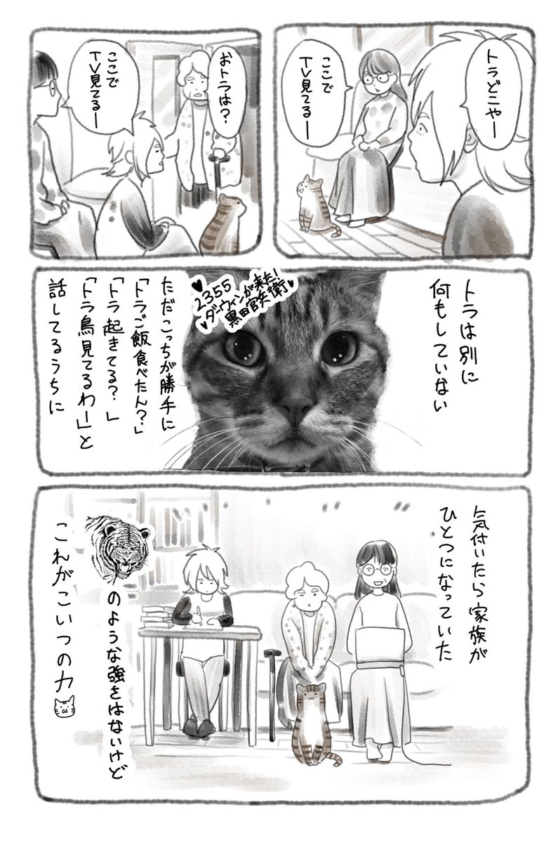 トラが家に来た話

#マンガが読めるハッシュタグ 