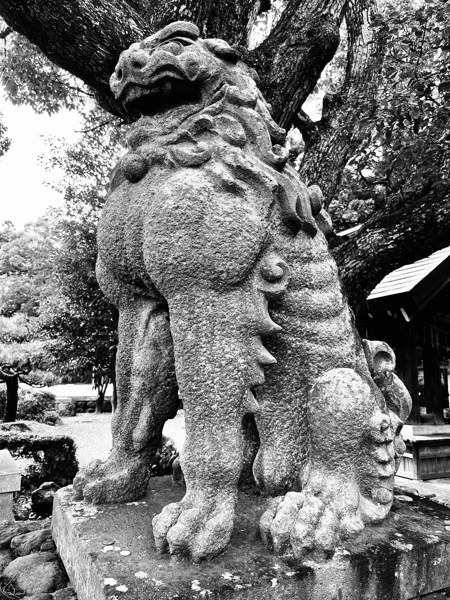 静岡移動中は相変わらず暇なので今回の旅で出会った狛犬さん達を紹介する。まずは滋賀縣護國神社の狛犬さん。肋骨が浮き上がっていて飢えと獰猛さを感じさせる。 