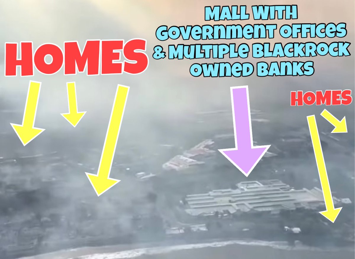 ⚠️ Pretty Incredible How The Maui Fires Were Smart Enough To Miss Government Buildings and Blackrock Owned Banks