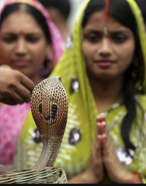 SarojaD15366's tweet photo. #The exact opposite meaning of
#NAGARA_PACHAMI is🐍

#NAGA

#DON'T

#PANCH

#ME.

I wish you and your family very happy #NAGAR_PANCHAMI.
#Have_a_great_day. https://t.co/277YOAVYrB