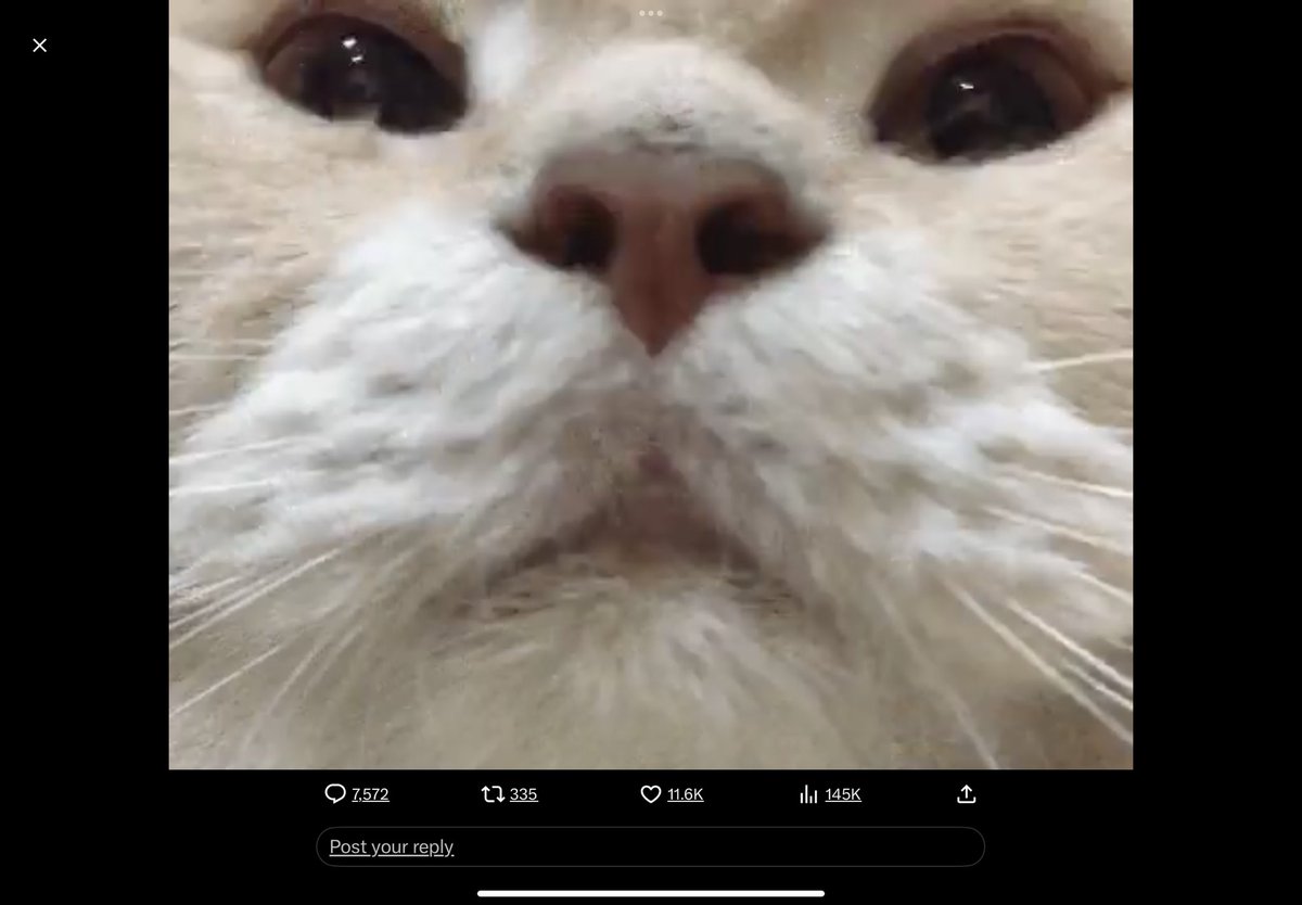 Animatorx250's tweet photo. @Lonnwick ezz https://t.co/8bshvqVe0L