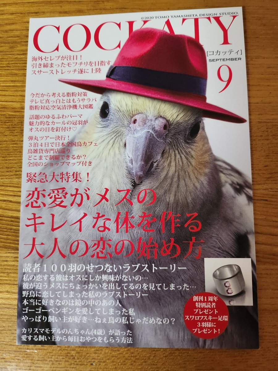 IncoCrazy's tweet photo. スサーストレッチ最高😃
恋愛特集は大好物です。 https://t.co/4t67UA35o8