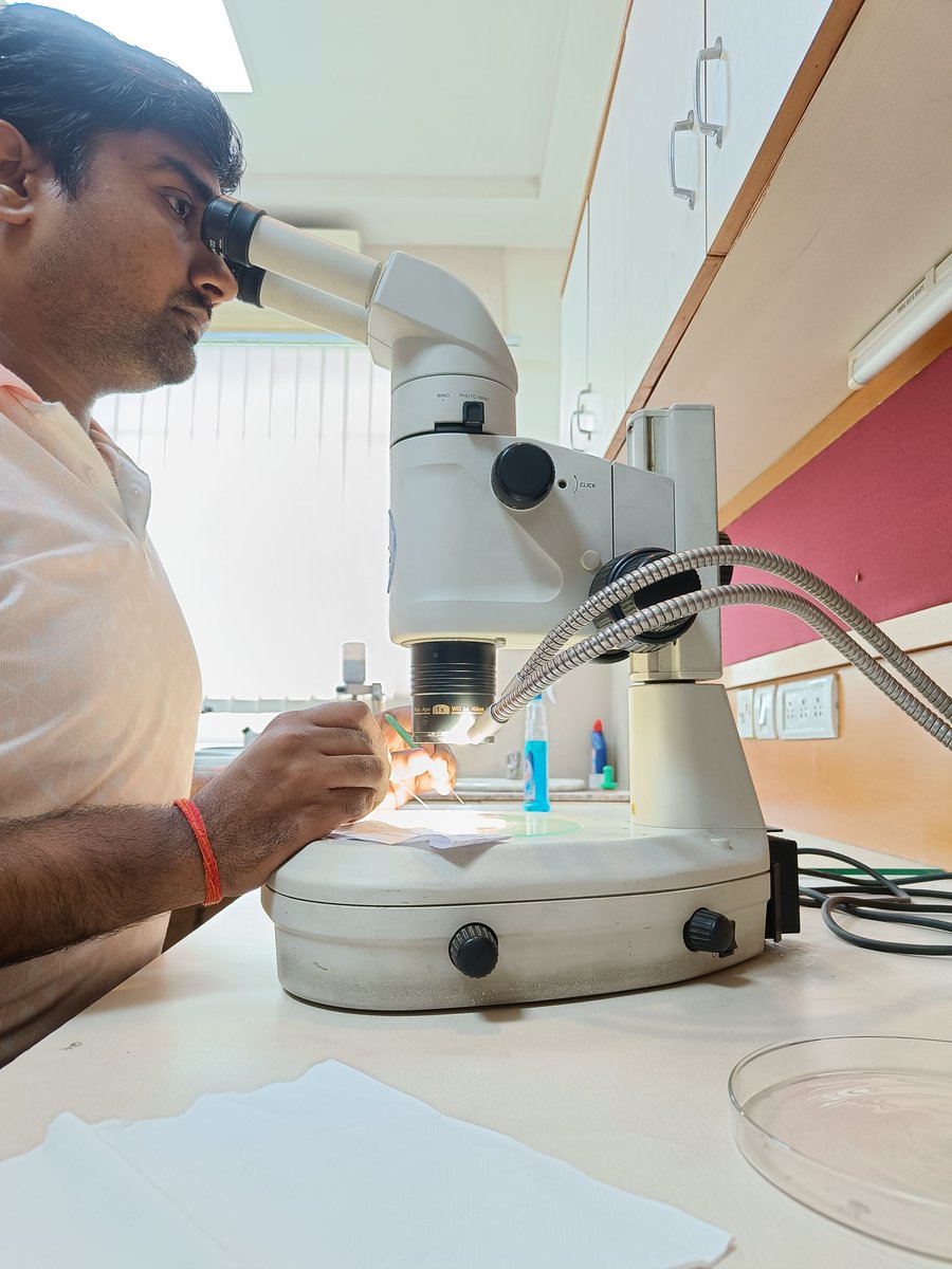 Shashi_fluvial's tweet photo. Stepping into the world of Zircons...
#geochronology 
#geomorphology https://t.co/KEOROJ9Yr7