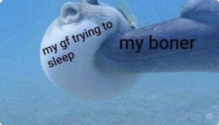not cute & kinky memes tweet media