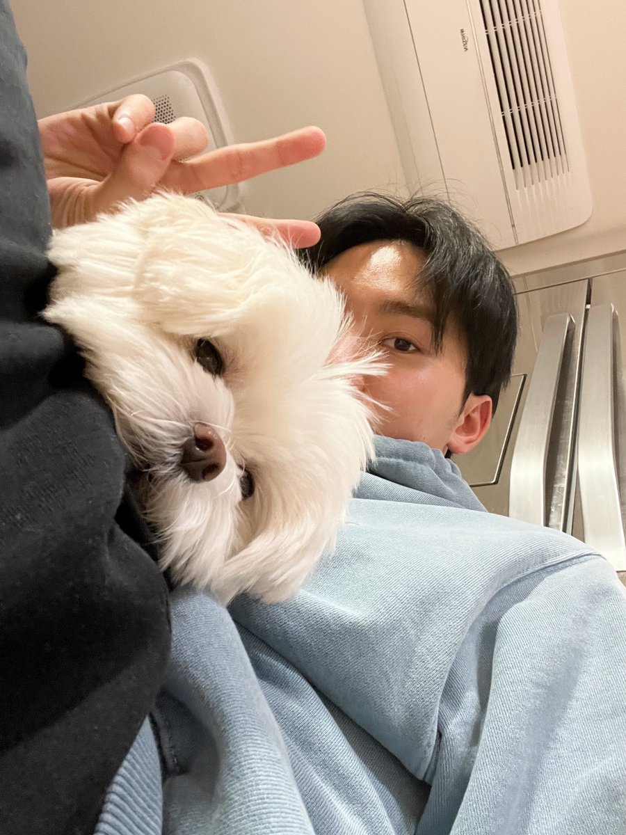 kwanranghaes's tweet photo. ✌🏼🐶 https://t.co/fGALmRbMYm