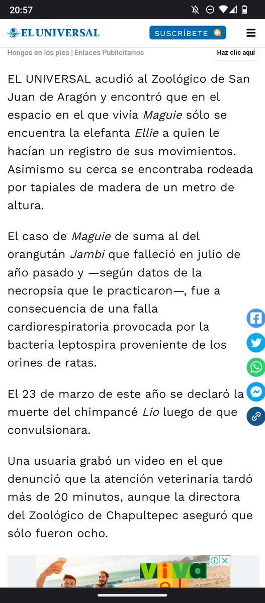 Tenemos el temor de que las autoridades de la CD de México y zoológicos, ATENTEN  EN CONTRA DE LA SALUD  y VIDA de #Ely ahora que la @SCJN  atrajo su caso.

No queremos la misma historia de Maguie
A Ely la Queremos viva
La Queremos Sana.
La queremos LIBRE. 

#UnaEsperanzaParaEly