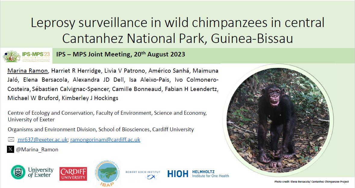 Sad to be missing the #IPS2023 in person, but glad to have virtually shared results on leprosy surveillance in wild chimpanzees in Cantanhez NP, Guinea-Bissau, in the #Pathogens session. Looking forward to watching great talks for the following days from the UK! <a href="/IPS_PrimateNews/">IPS Primate</a>