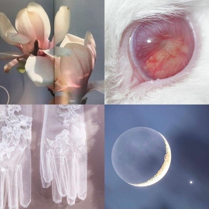 𝐥𝐥egando un poquito tarde a disfrutar del ⁦#𝐩·𝚙in𝚔𓊆宙奇𓊇c𝚑el𝕝a⁩ 🩰 ♡ 𓈒࿓ 𝚌ómo dios manda, pero aún así no me perdí lo mejor del ⁦#p𝚑𝕒n𝐭as𝐲·命·w𝕖e𝚔en𝚍⁩ que son sus hermosos rostros y pasitos into ⁦#O𝟒ʼ𝓼·𝐟or𝕖𝐯er⁩ 𝕝ine!

𝐠ōss𝐢𝚙 ✿︎ ◌ ˚ 𝕒ngǝ𝐥