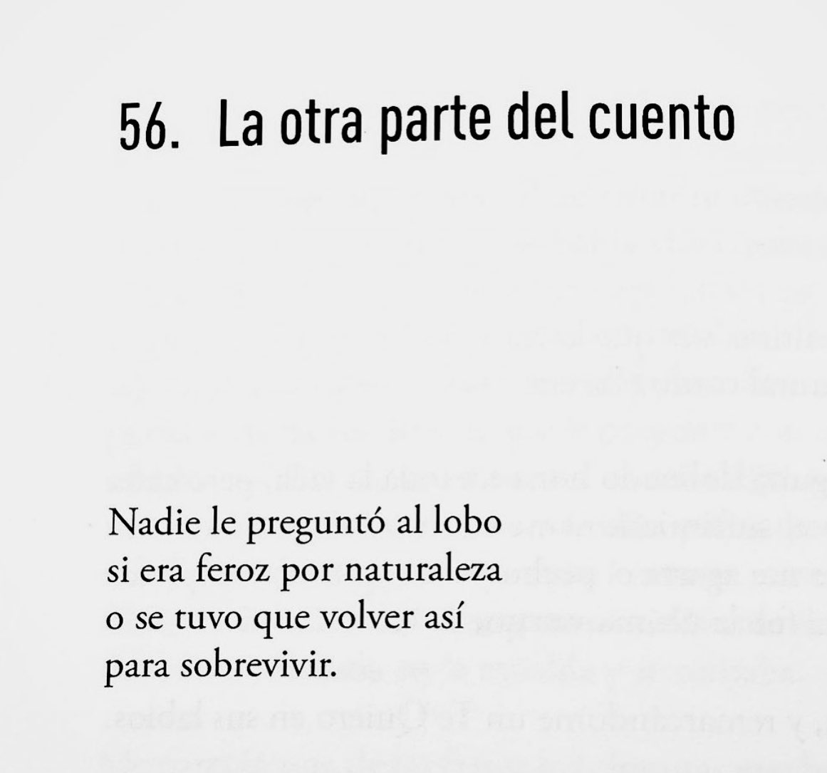 Cementerio De Libros tweet media