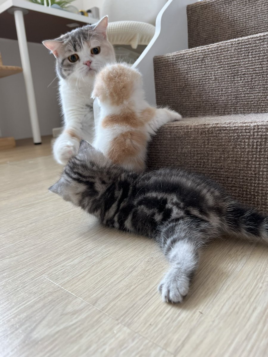 ตอนเด็กพิแม้กหยุมหัวไอกี้กรี๊ดลั่น มี๊รีบมาดูเลย ตลกก 5555555