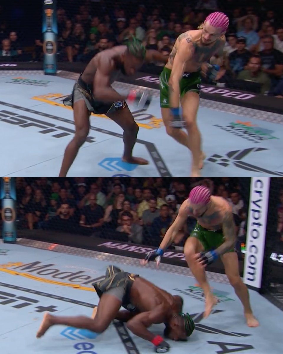 SEAN O'MALLEY STOPS ALJAMAIN STERLING TO WIN UFC GOLD 😱 #UFC292