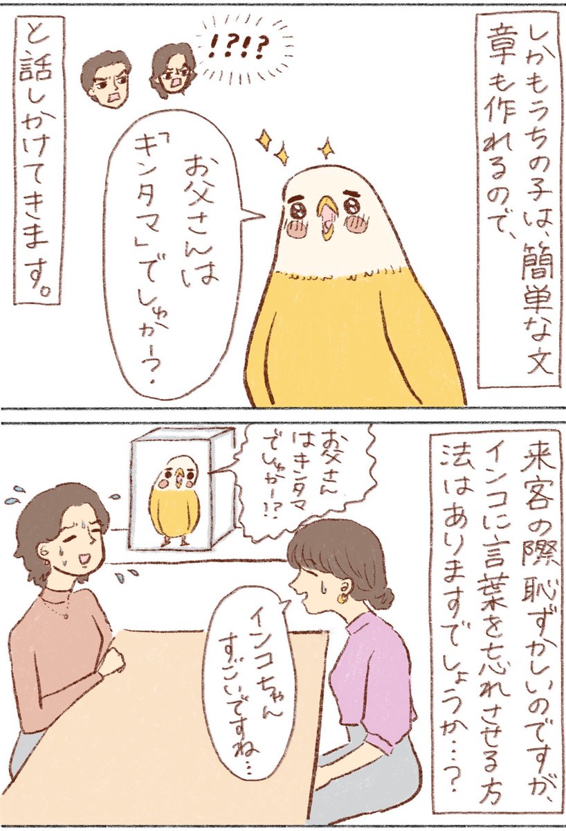 他の鳥さんシリーズ始まりました🤭💓
https://t.co/hfgiT2j3N4 
