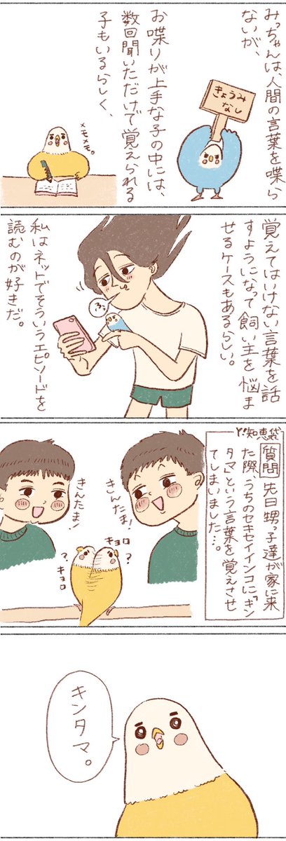 他の鳥さんシリーズ始まりました🤭💓
https://t.co/hfgiT2j3N4 