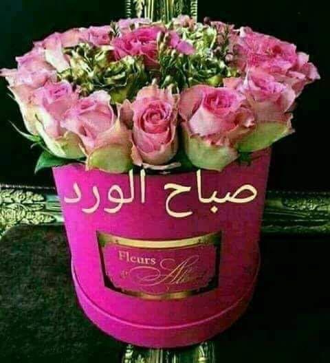 YjggGh7's tweet photo. @algwhRaa_ صباح النور والسرور https://t.co/jZZnpuFM6k