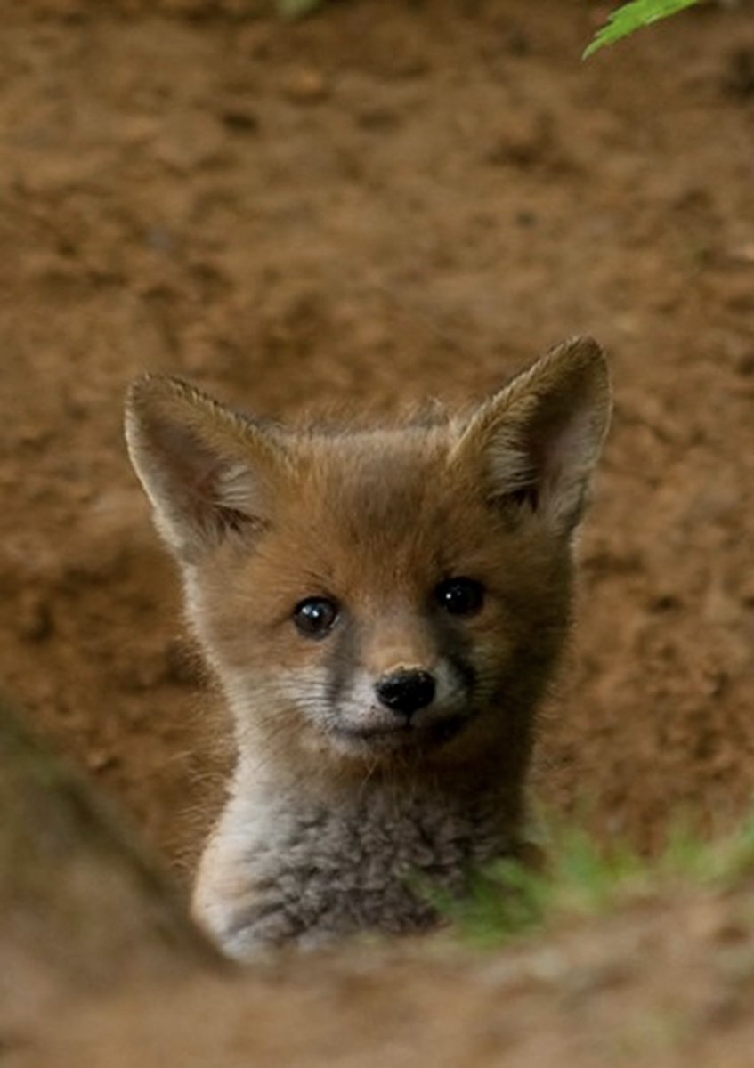 Adam Tatlow tweet media