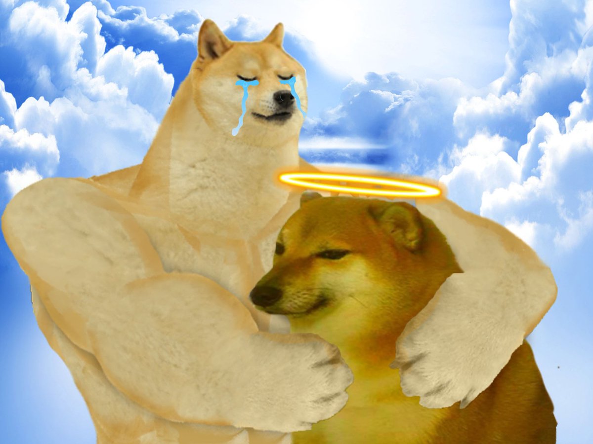 AnonymusTradeer's tweet image. 🐶 Saddened by the news of Cheems, the beloved meme dog, passing away at 12 after battling cancer. He touched countless hearts and became a cherished part of internet culture. His memory will continue to bring smiles to those who adored him. 🙏😔 #Cheems #MemeDog #InternetIcon