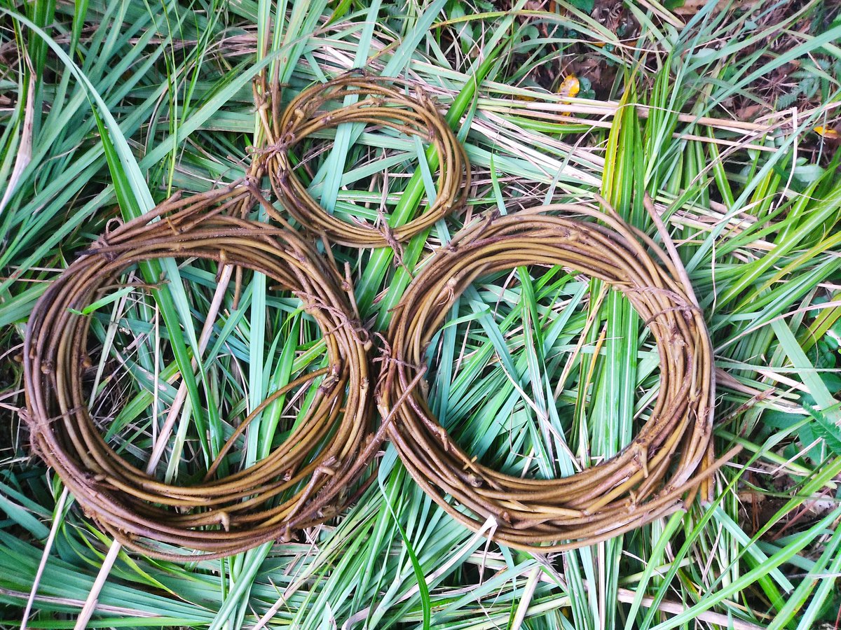 日本の自然布 Deep forest（ネイビー）自然・北欧柄- 布・生地の通販サイト