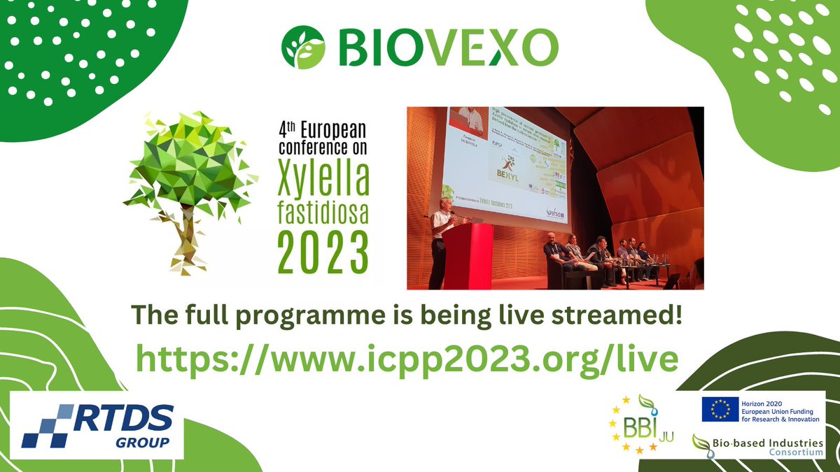 Live NOW! Q&A with BIOVEXO expert Pasquale Saldarelli from @CNRsocial_ 💻➡️icpp2023.org/live #Xylella23 #ICPP2023 #science #Research #planthealth 🫒🔬🧑‍🌾🧑‍🔬🇪🇺 @EUScienceInnov @BioEcoFacts @EPPOnews @Food_EU @bioeconomista @Domca_Spain @AciesBio @AgroEcoDiv