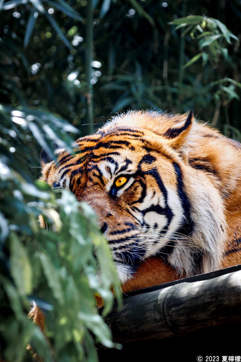 心が動く瞬間や光景を探して、写真に収めています(*´ω｀*)

 #あなたの評判良かった4選がみたい