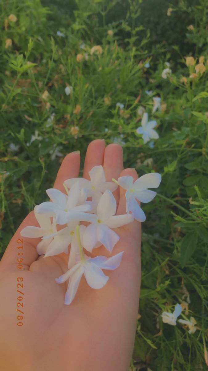 3Wlenh's tweet photo. انا أقسى قلب لا أخطيت في حقي
وانا أوفى إنسان لو إنك تقدرني https://t.co/yvt9jqkts3