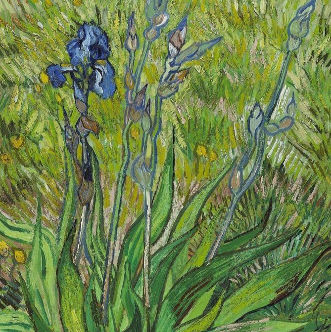 xdivisjon's tweet photo. Van Gogh details https://t.co/zwK8foBSTw