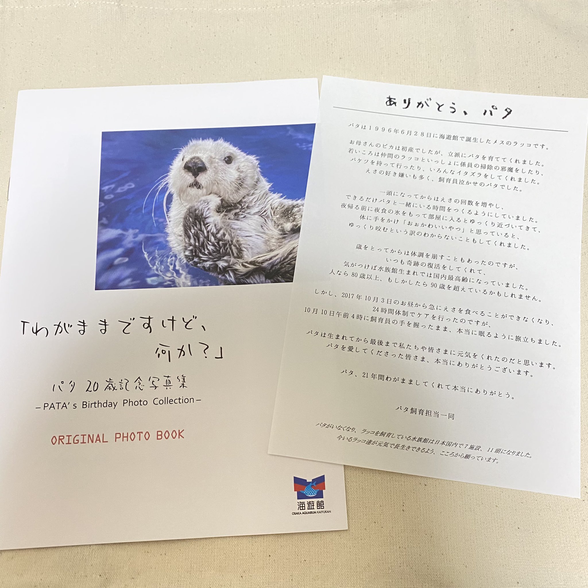 パラパラシネマ・水族館 1ラッコちゃん 2ネコとタコ 多田ヒロシ