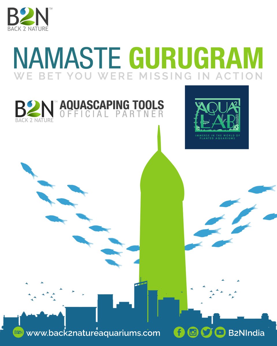 B2NIndia's tweet photo. Namaste Gurugram!

Let us proudly present Aqua ² Lab as Back 2 Nature Official Aquascaping Tools Partner.

#back2nature #natureaquariumdesigners #india #kolkata #dealer #partnership #retail #toolspartner #packages #Gurgaon #Gurugram #Hariyana #Aqua2lab #aquascaping #madeinIndi https://t.co/JiMjVqjDdb