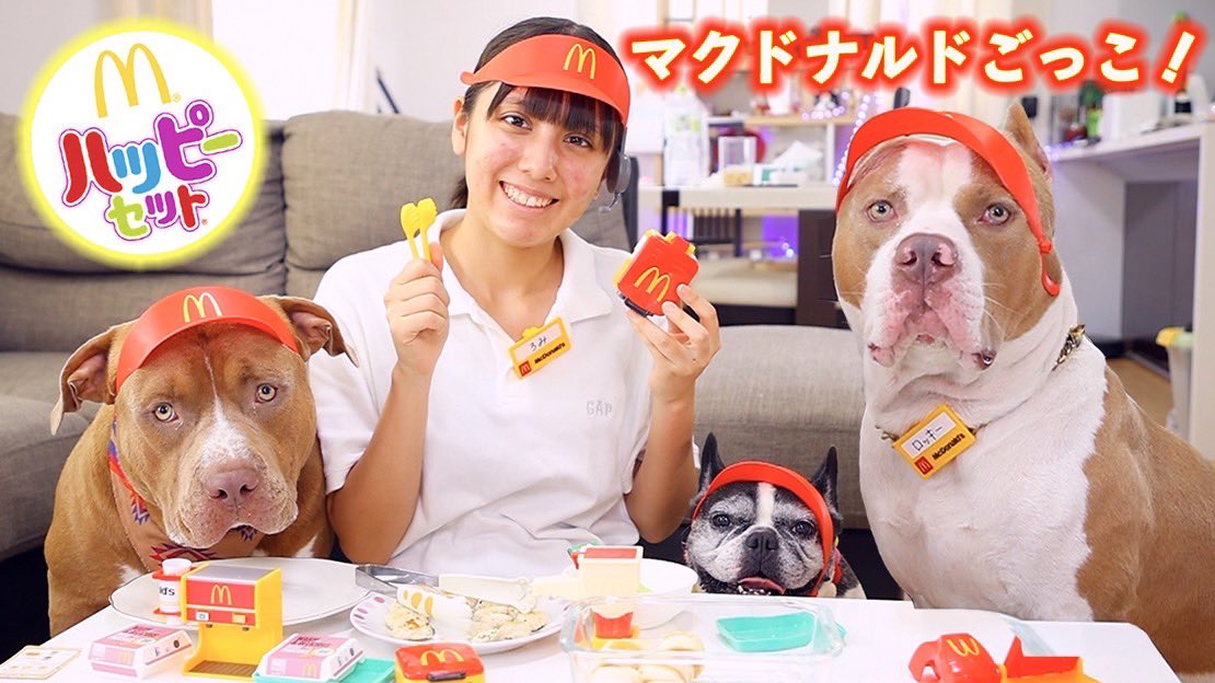 RikuChannel_'s tweet photo. ロッキーたちとマクドナルドごっこをしたよ✨みんながマックのクルーになりきっちゃう！
@McDonaldsJapan #マクドナルド #マック 
マクドナルドの店員になってロッキーたちとハンバーガー屋さんごっこ！全部犬用？！【なりきりマクドナルド】 https://t.co/DzUIQfBlL5 @YouTubeより https://t.co/siDNpXk8za