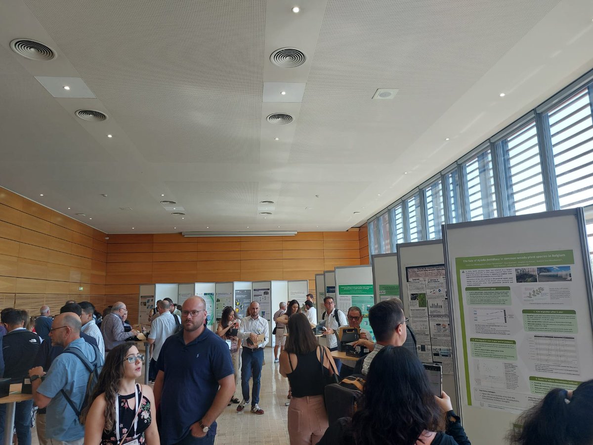 Plants_EFSA's tweet image. 📢 #HappeningNow at #Xylella23 #PosterSession 🌱
🔛 Poster Session with ✔️51 poster reporting the most actual knowledge on #XylellaFastidiosa research
🌍 FR, AU, BE, CR, US, IT, GR, PT, CH, GB, AR, ES, AT...
Event by @EFSA_EU @BexylP @BiovexoProject @ERC_Research @Euphresco